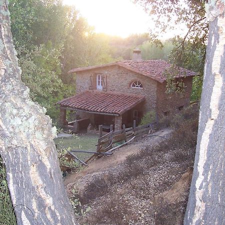 Гостьовий будинок Casas El Alamillo- El Castanero Ґалароса Екстер'єр фото