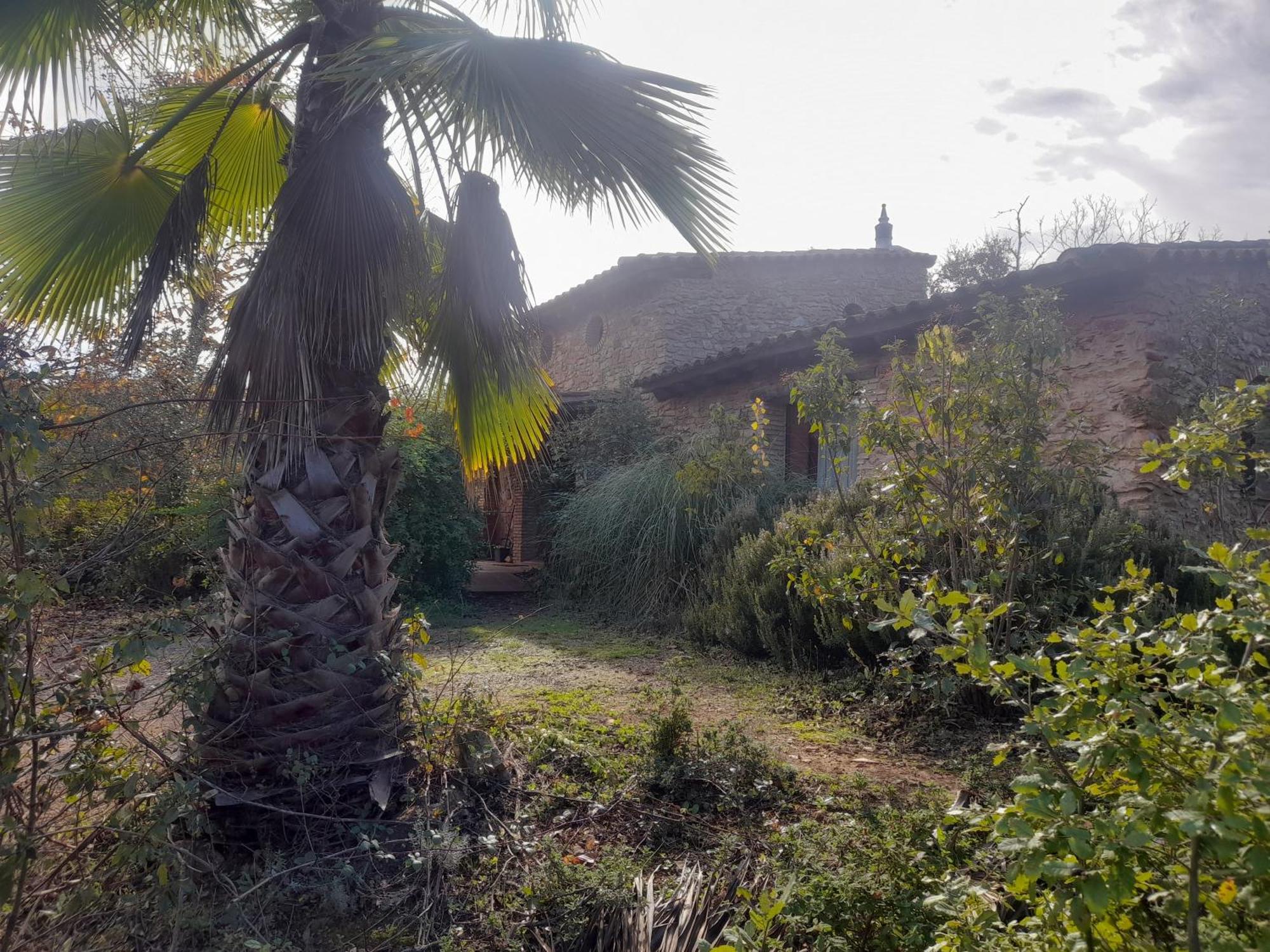 Гостьовий будинок Casas El Alamillo- El Castanero Ґалароса Екстер'єр фото