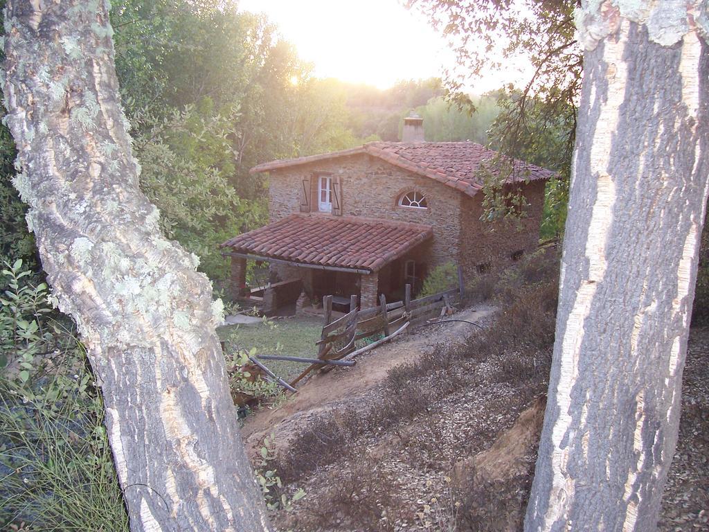 Гостьовий будинок Casas El Alamillo- El Castanero Ґалароса Екстер'єр фото